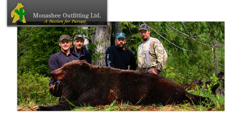 Monashee Outfitting Ltd.  - Grizzly Bears